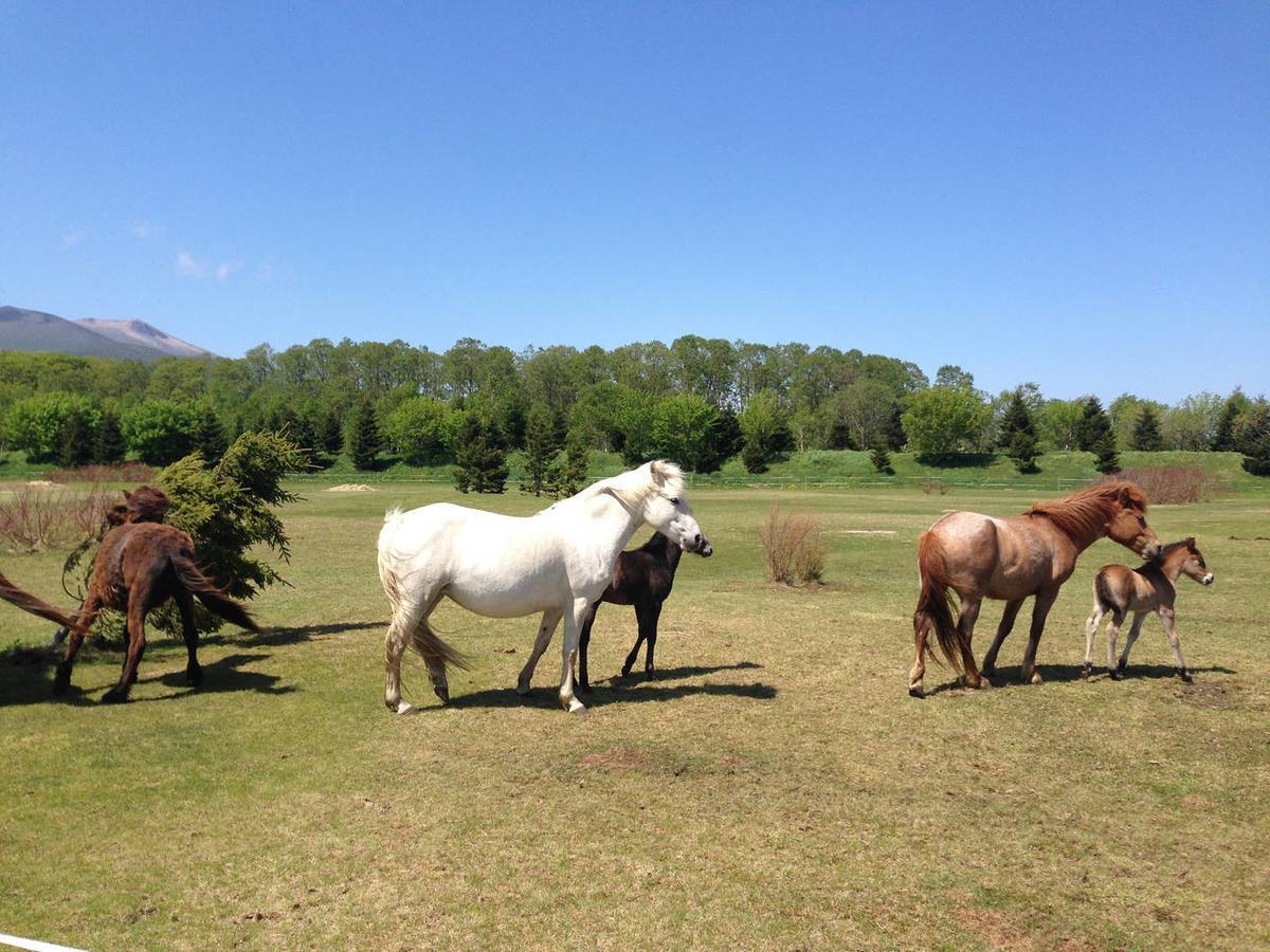 Paard Musee Guest House Nanae ภายนอก รูปภาพ