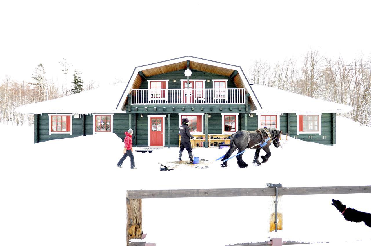 Paard Musee Guest House Nanae ภายนอก รูปภาพ